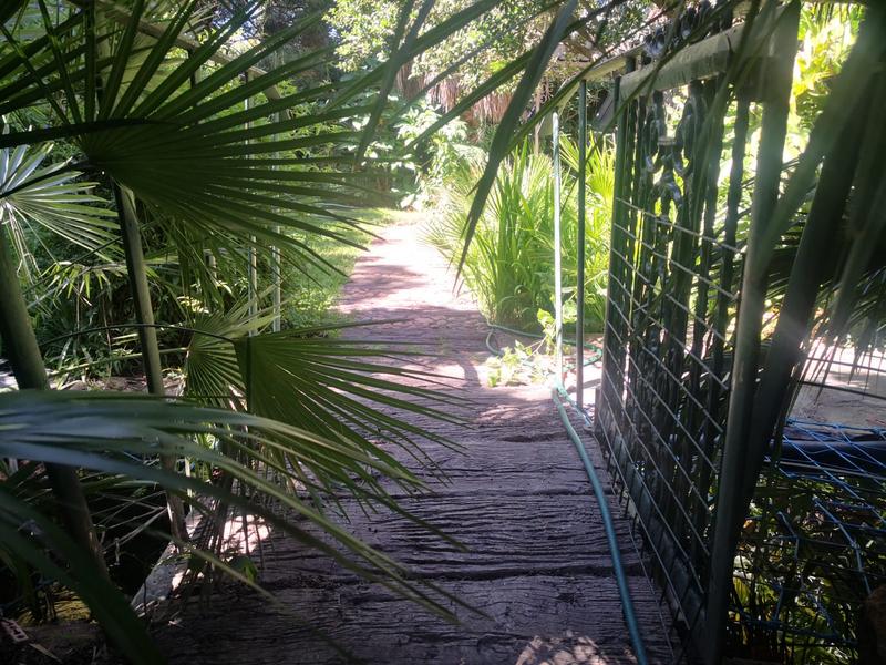 5 Bedroom Property for Sale in Wilkeville North West